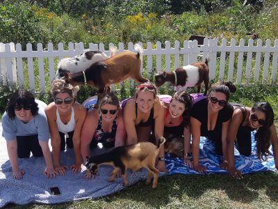 GOAT YOGA…ARE YOU KIDDING?