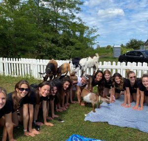 Yoga With Goats? No KiddingYou Gotta See This